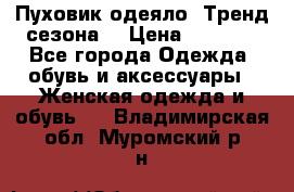 Пуховик-одеяло. Тренд сезона. › Цена ­ 3 900 - Все города Одежда, обувь и аксессуары » Женская одежда и обувь   . Владимирская обл.,Муромский р-н